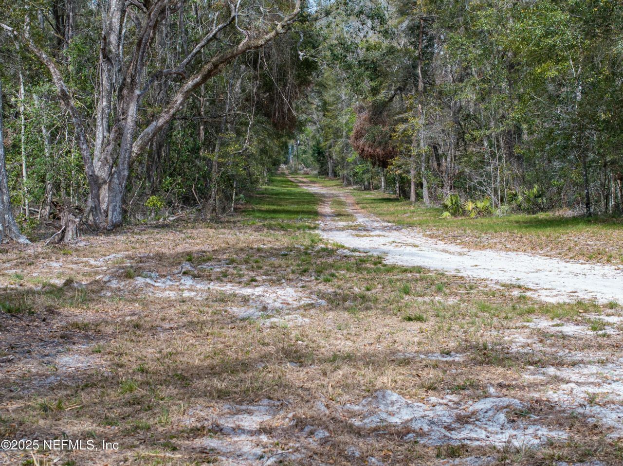 0 65th Place A, Branford, FL 32008 Photo