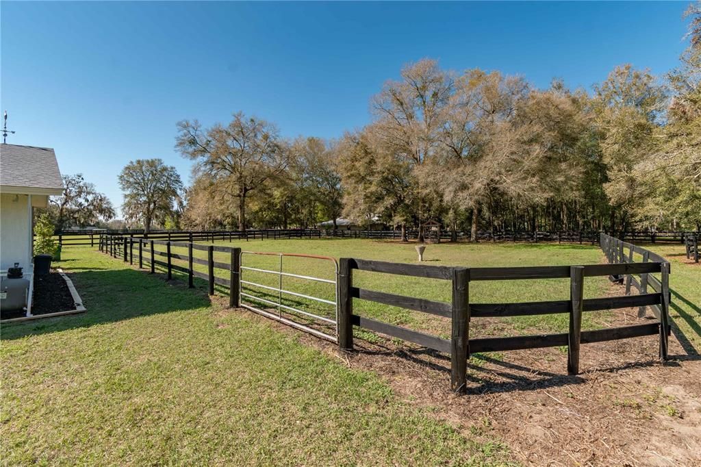 1631 NE 165th Street, Citra, FL 32113 Photo