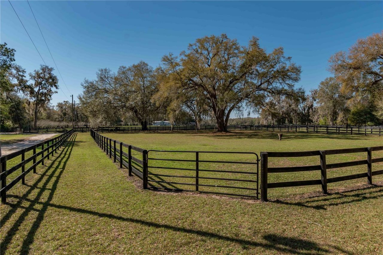 1631 NE 165th Street, Citra, FL 32113 Photo