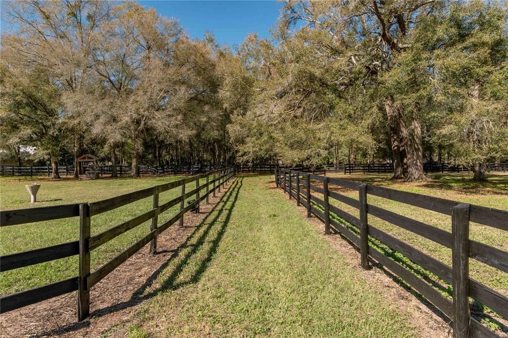 1631 NE 165th Street, Citra, FL 32113 Photo