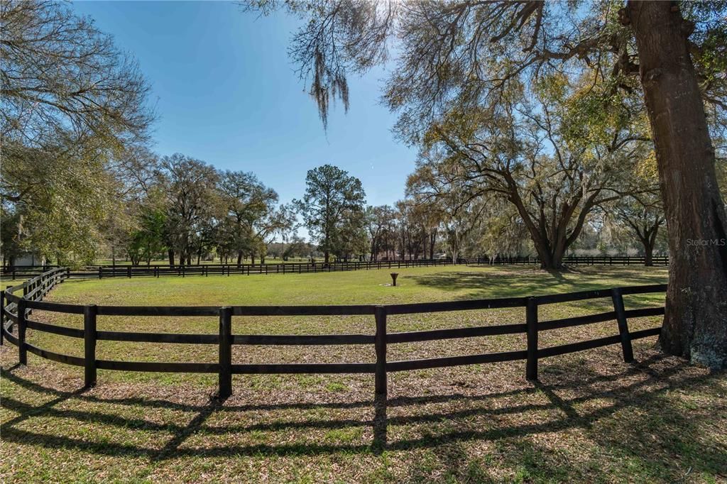 1631 NE 165th Street, Citra, FL 32113 Photo