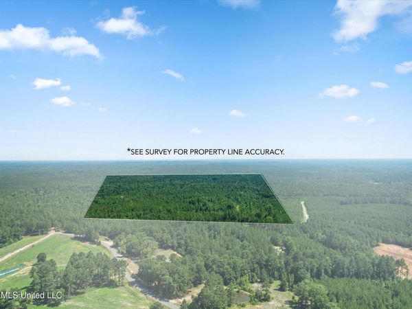 0 Jp Hinton Road, Richton, MS 39476