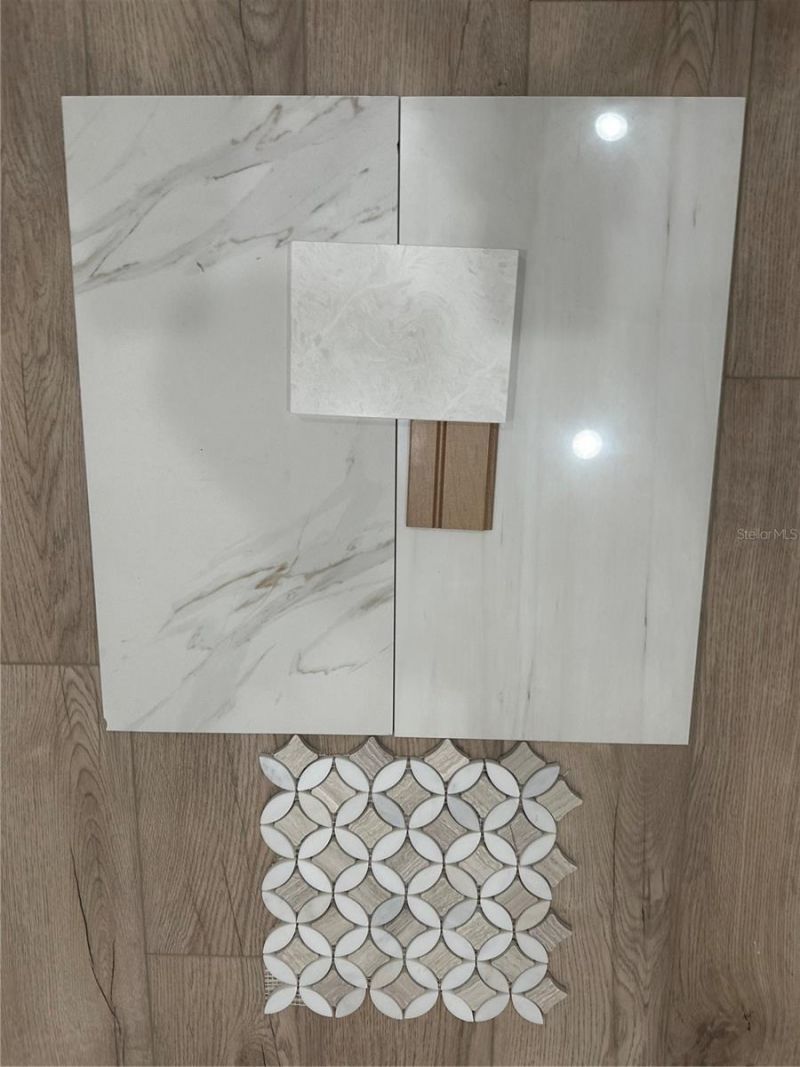 217 S Shade Avenue, Sarasota, FL 34237 Photo