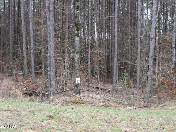 13319 Ella Lane, Byhalia, MS 38611