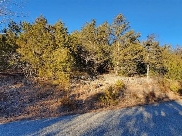 7 Arapaho Drive, Holiday Island, AR 72631