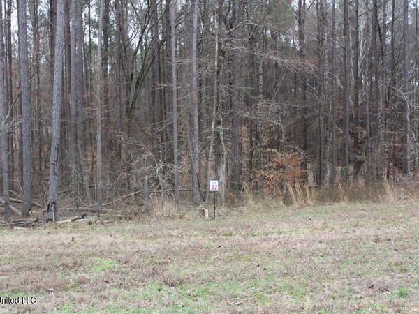 13357 Ella Lane, Byhalia, MS 38611