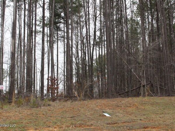 Ella Lane, Byhalia, MS 38611