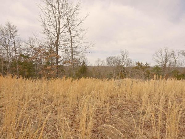 Lot 22 Oakridge Drive, Gepp, AR 72538
