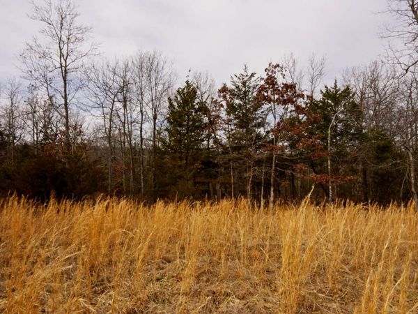 Lot 21 Oakridge Drive, Gepp, AR 72538