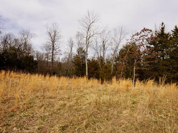 Lot 20 Oakridge Drive, Gepp, AR 72538