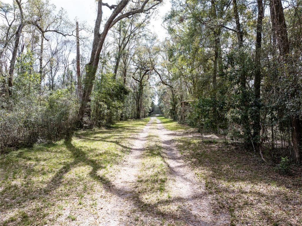 0 65th Place A, Branford, FL 32008 Photo