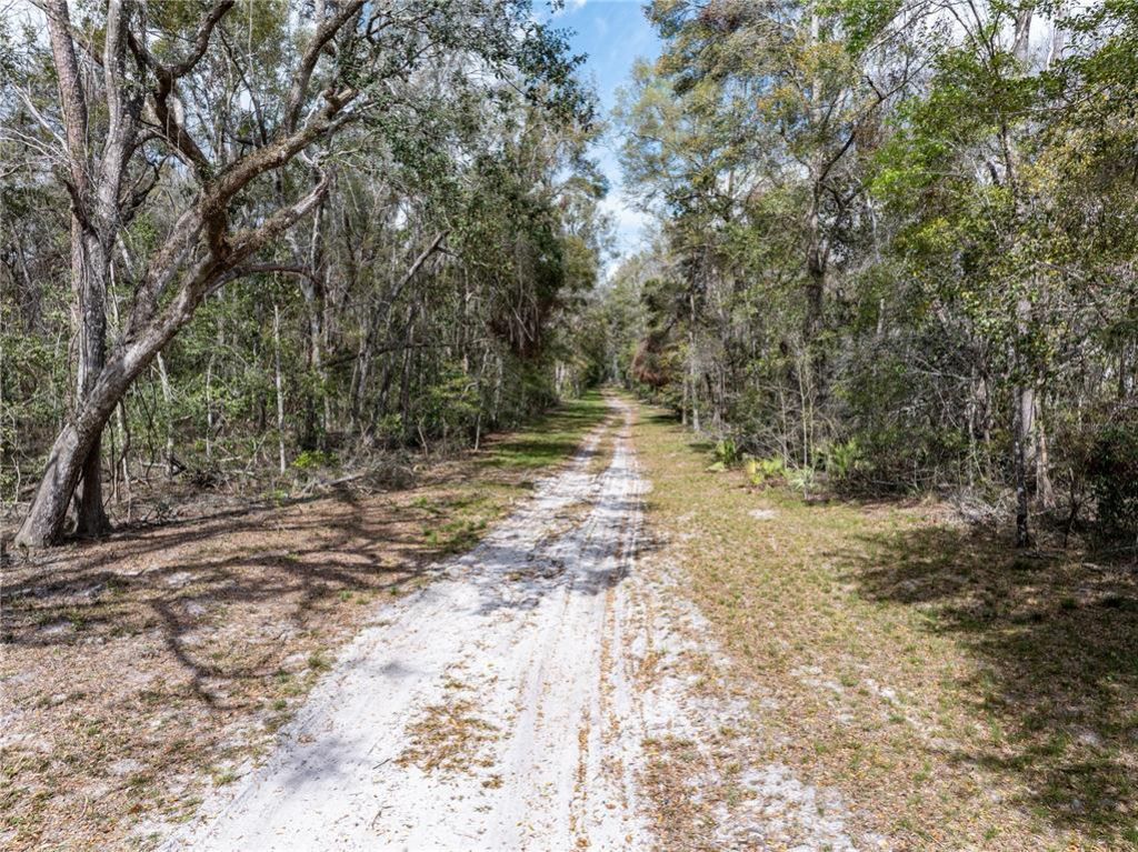 0 65th Place A, Branford, FL 32008 Photo