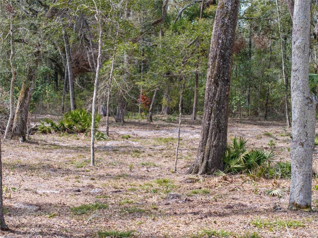 0 65th Place A, Branford, FL 32008 Photo