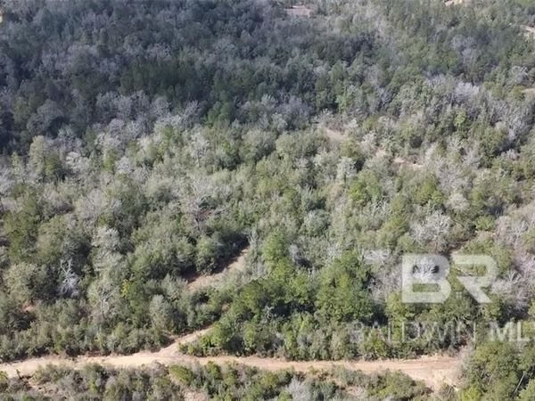 0 Chunchula Georgetown Road, Chunchula, AL 36521