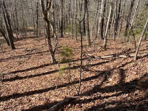 00 Timberland Trail, Franklin, NC 28734