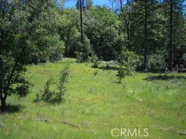 13 Beloved Way, Dobbins, CA 95935