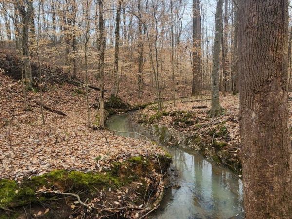 Landlot 19 N Highway 411, Crandall, GA 30711