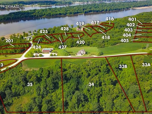34 Lots A&B Winneberg Road, Golden Eagle, IL 62036