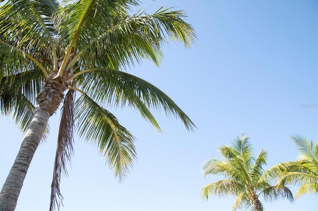 396 Aruba Circle, Unit 302, Bradenton, FL 34209 Photo