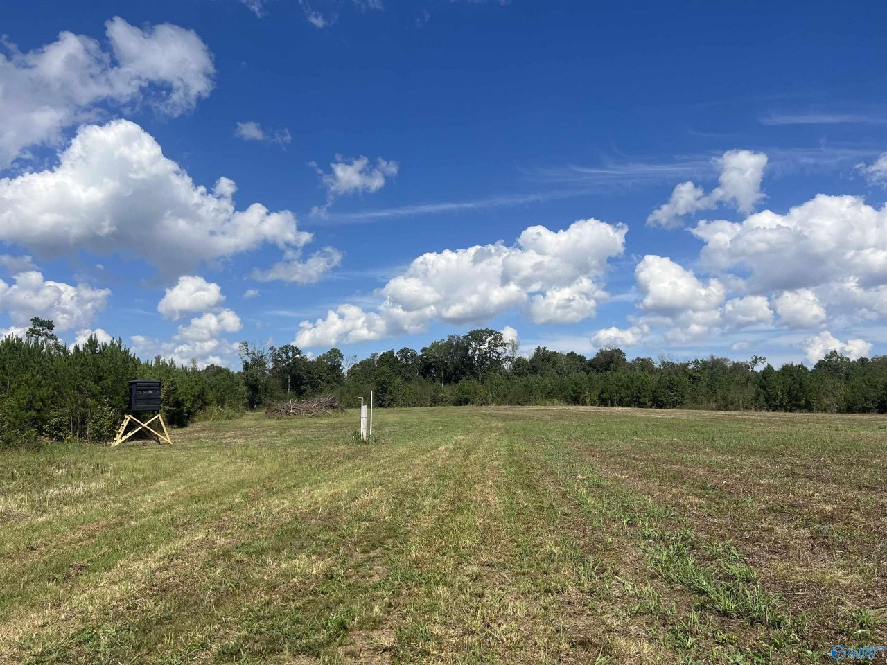 140 +/- Acres Highway 157, Leighton, AL 35646 Main Photo
