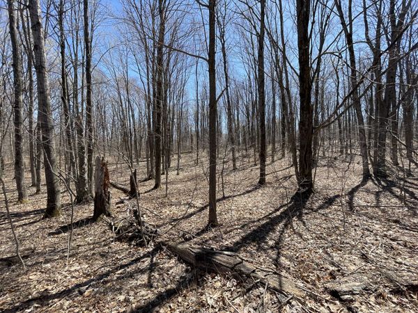 LOT 281 Acacia Drive, Mancelona, MI 49659