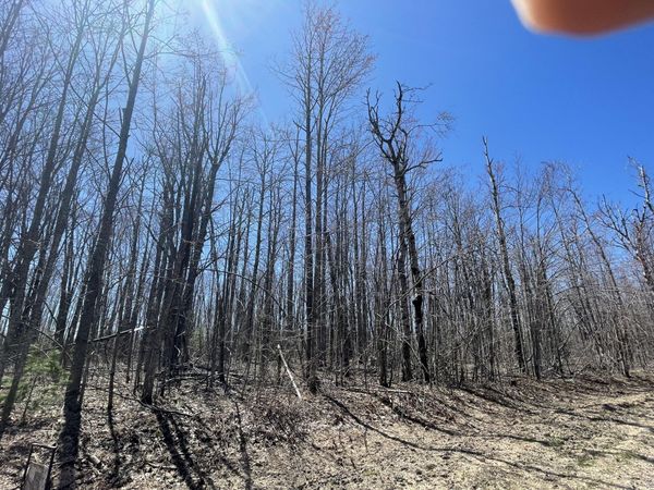 LOT 46 Louise Drive, Elmira, MI 49730