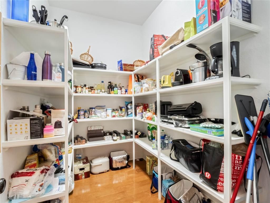 10411 Hart Branch Circle, Orlando, FL 32832 Photo