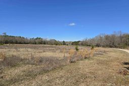 186 Zenker Road photo 4