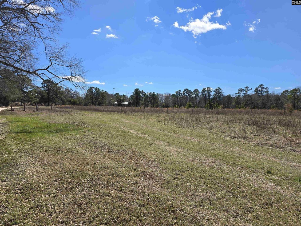 186 Zenker Road Photo 4