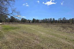 186 Zenker Road photo 4