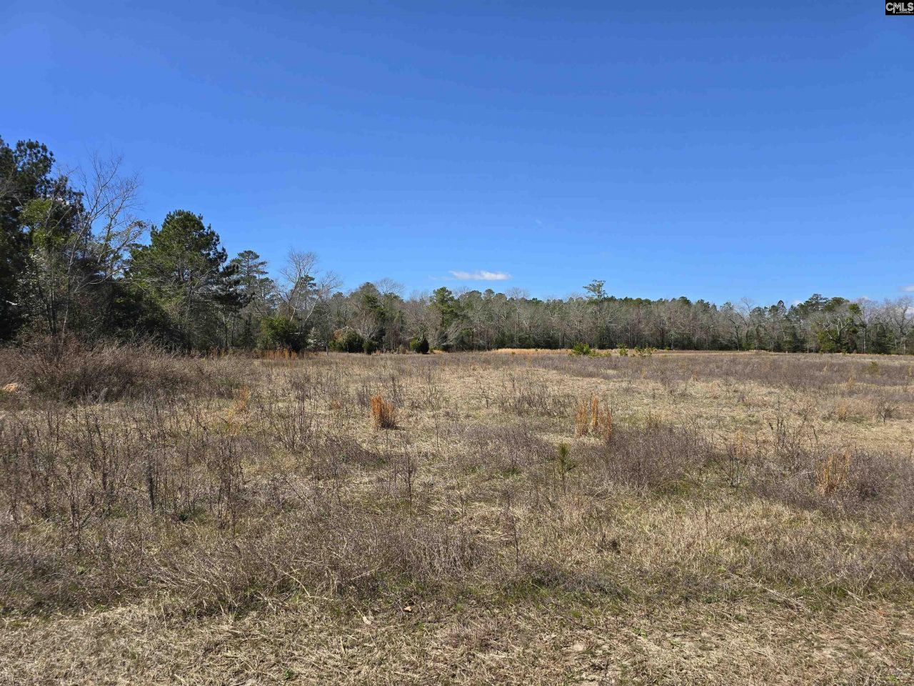 186 Zenker Road Photo 5