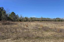186 Zenker Road photo 4