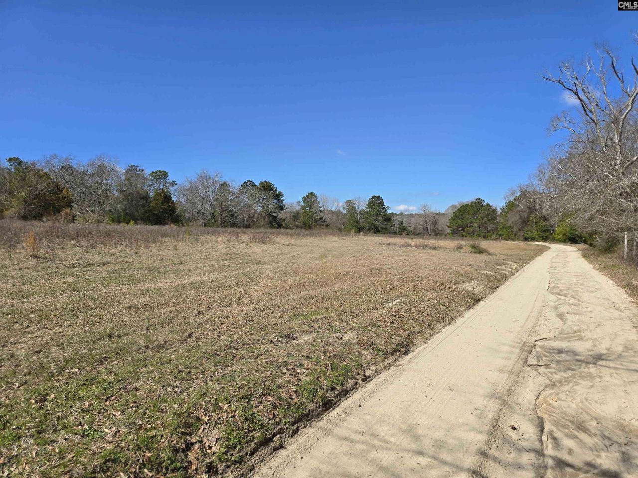 186 Zenker Road Photo 6