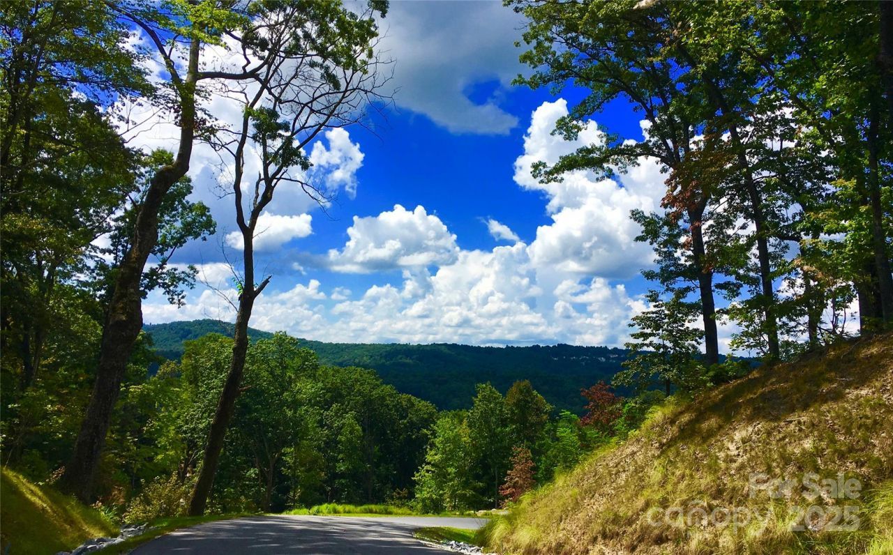 83 Curtain Bluff, Hendersonville, NC 28791 Main Photo