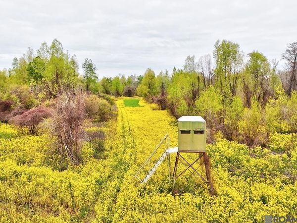 TBD Cat Island Rd, St Francisville, LA 70775