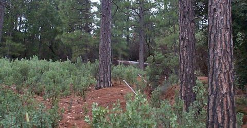 20550 Grizzly Creek Rd, North San Juan, CA 95959 Photo