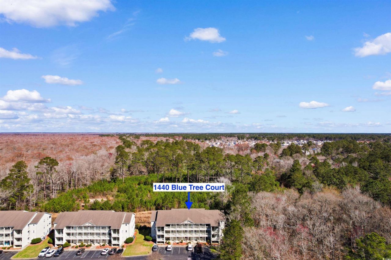 1440 Blue Tree Ct. Photo 27