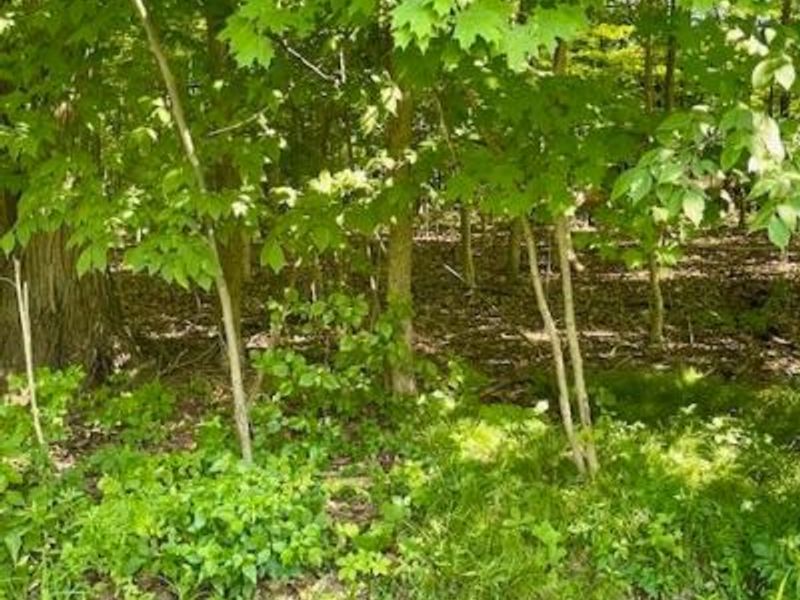 0 Sunset Drive, Powell, OH 43065 Photo 3