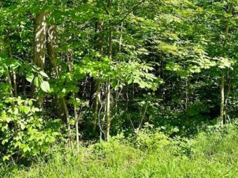 0 Sunset Drive, Powell, OH 43065 Photo 4