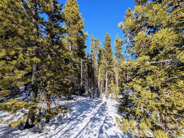 Lot 234 Alice Road, Idaho Springs, CO 80453