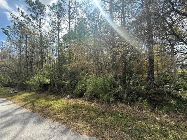 Green Willow Run, Lot #LOT 759, Wesley Chapel, FL 33544 Main Photo