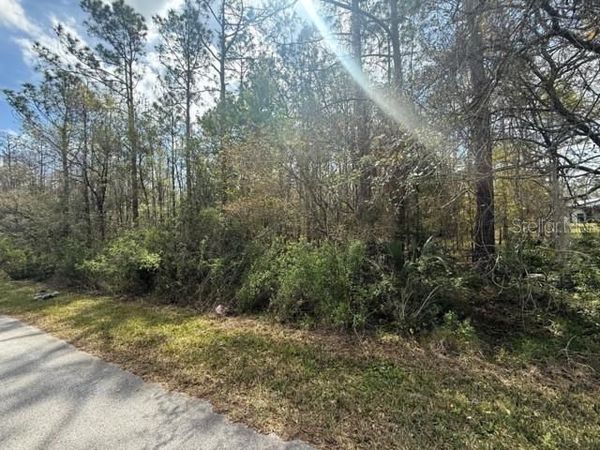 GREEN WILLOW RUN, Unit LOT 759, WESLEY CHAPEL, FL 33544