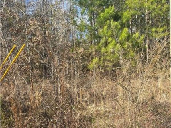 16 TIMBERTOP Lane, Fosters, AL 35463