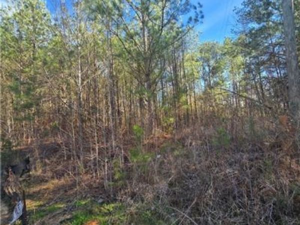 19 Timbertop Lane, Foster, AL 35463