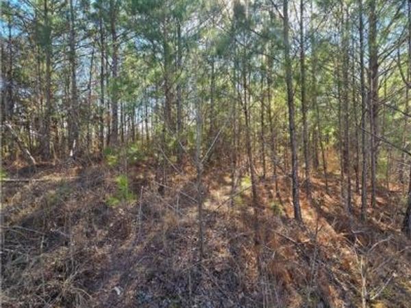 23 TIMBERTOP Lane, Fosters, AL 35463