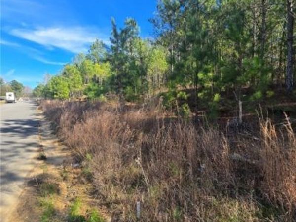 20 Timbertop Lane, Fosters, AL 35463