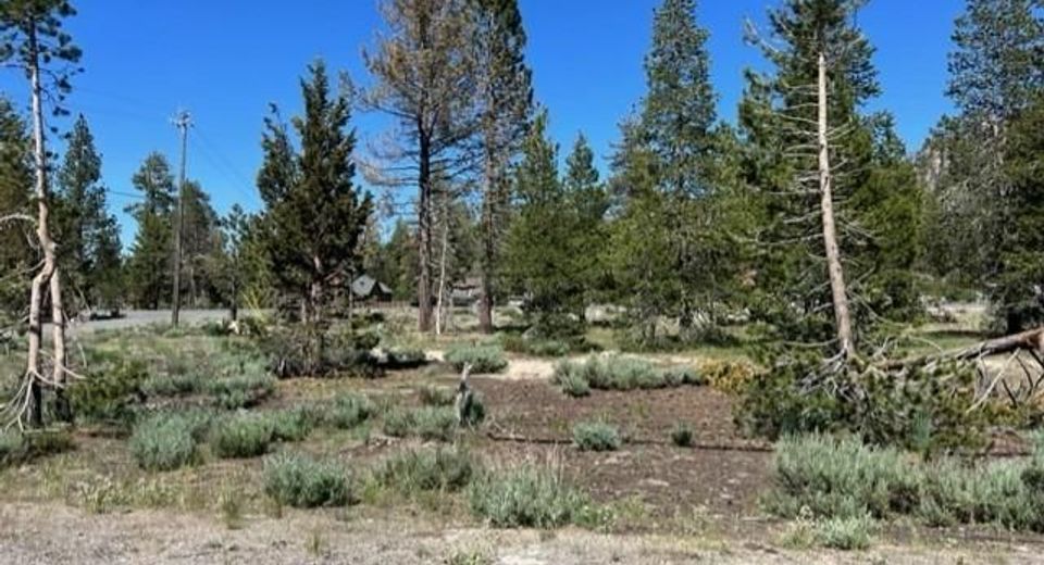 2263 Blitzen Road, South Lake Tahoe, CA 96150 Photo