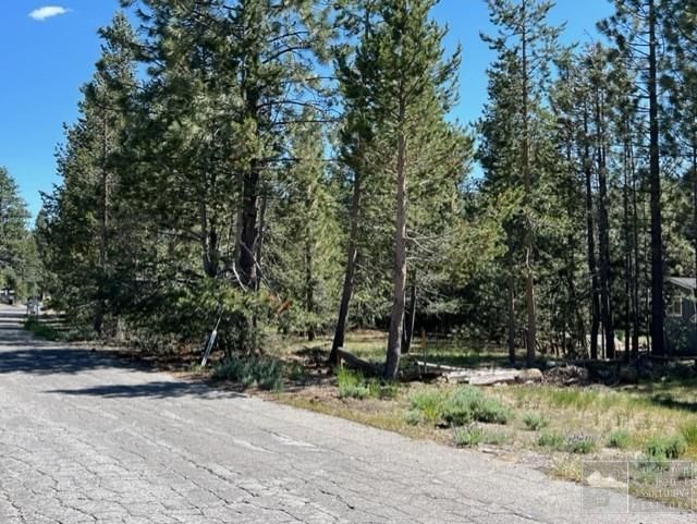 2263 Blitzen Road, South Lake Tahoe, CA 96150 Photo
