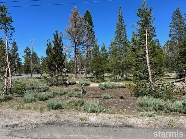 2263 Blitzen Road, South Lake Tahoe, CA 96150 Photo