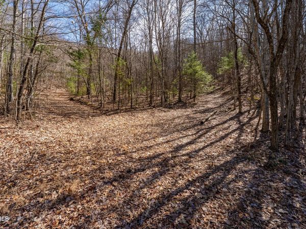 Lot 1,3,4 Callalantee Course, Mountain City, TN 37683